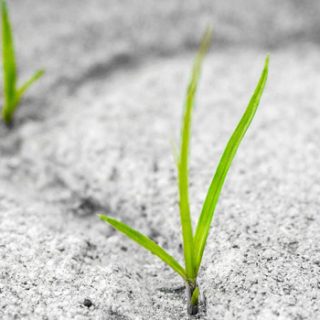 Focus on Disability - For Disabled People, the Elderly and their Carers in the UK