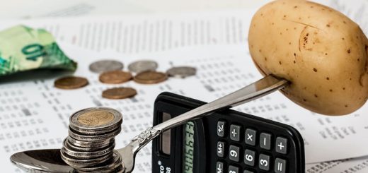 Focus on Disability - For Disabled People, the Elderly and their Carers in the UK