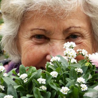 Focus on Disability - For Disabled People, the Elderly and their Carers in the UK