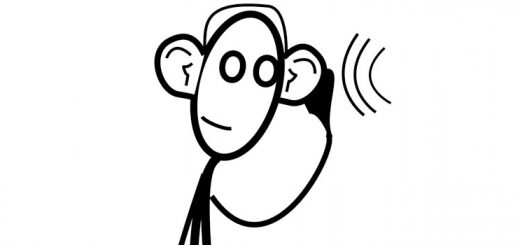 Focus on Disability - For Disabled People, the Elderly and their Carers in the UK