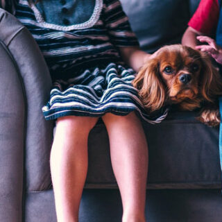 Focus on Disability - For Disabled People, the Elderly and their Carers in the UK