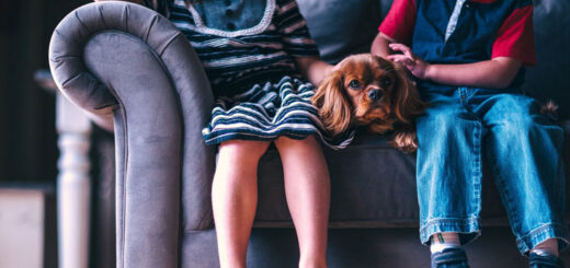 Focus on Disability - For Disabled People, the Elderly and their Carers in the UK