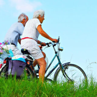 Focus on Disability - For Disabled People, the Elderly and their Carers in the UK