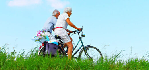 Focus on Disability - For Disabled People, the Elderly and their Carers in the UK