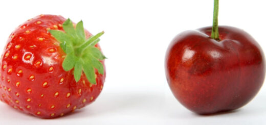 Focus on Disability - For Disabled People, the Elderly and their Carers in the UK